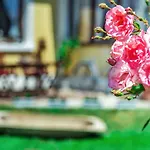 Lady Lavender House Appartement