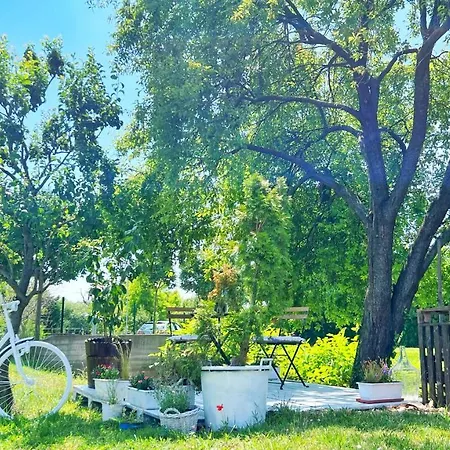 Appartamento Lady Lavender House *