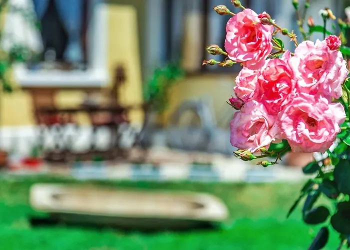 Lady Lavender House Apartment