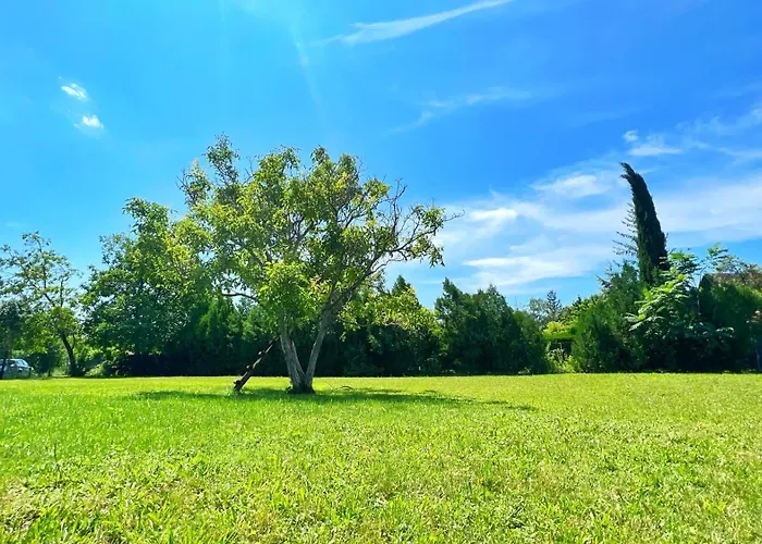 Apartment Lady Lavender House